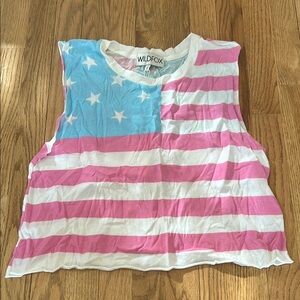 Wildfox Women's Pink and Blue Striped Top